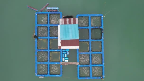 Aerial View Fish Farms Norway — Stock Video