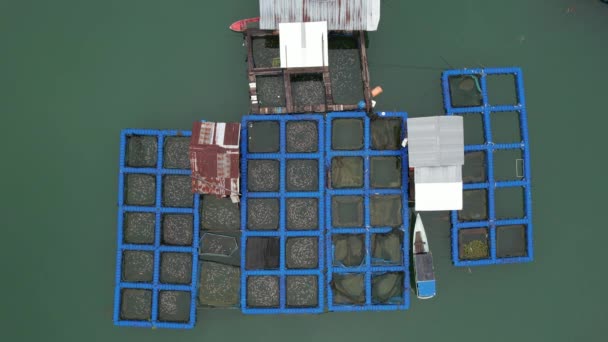 Aerial View Fish Farms Norway — Stok video