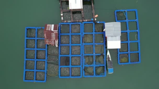 Aerial View Fish Farms Norway — Stockvideo