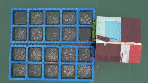 Aerial View Fish Farms Norway — Vídeo de Stock