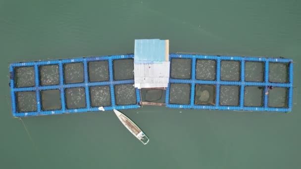 Aerial View Fish Farms Norway — ストック動画