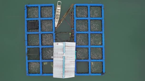 Aerial View Fish Farms Norway — Vídeo de stock