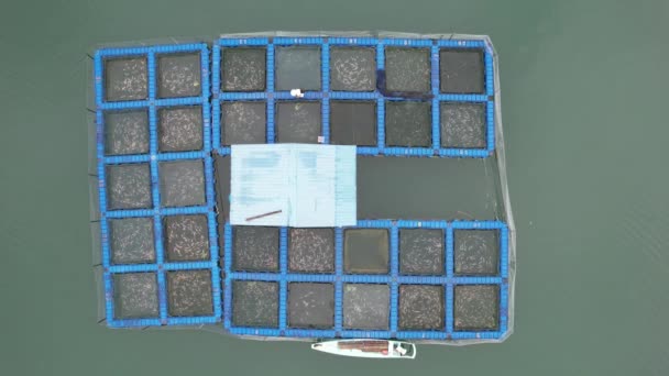 Aerial View Fish Farms Norway — ストック動画