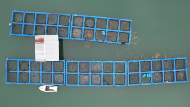 Aerial View Fish Farms Norway — 비디오