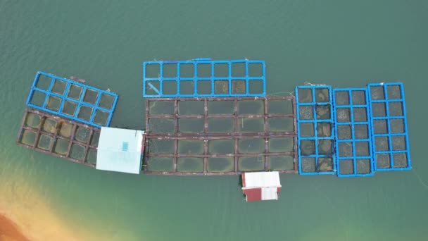 Aerial View Fish Farms Norway — Stock Video