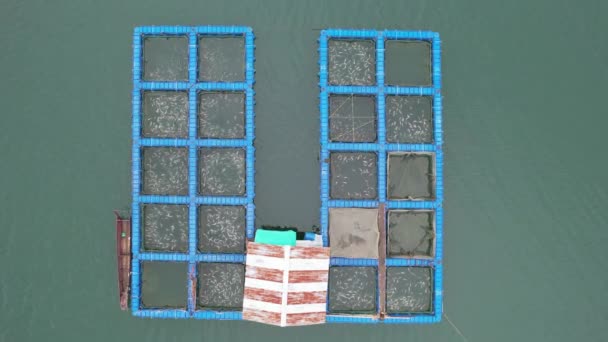 Aerial View Fish Farms Norway — Stockvideo