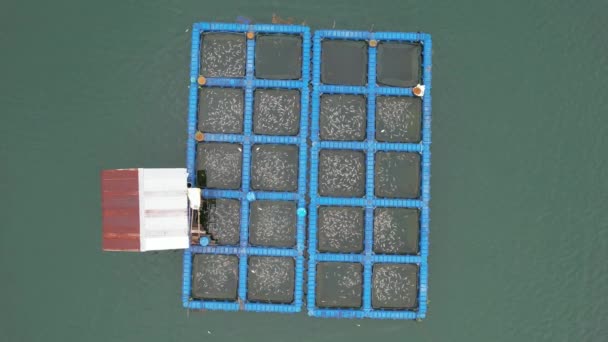 Aerial View Fish Farms Norway — Stok Video