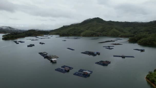 Aerial View Fish Farms Norway — 비디오