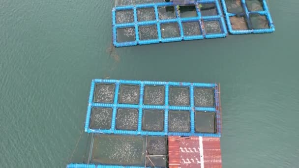 Aerial View Fish Farms Norway — Vídeo de Stock