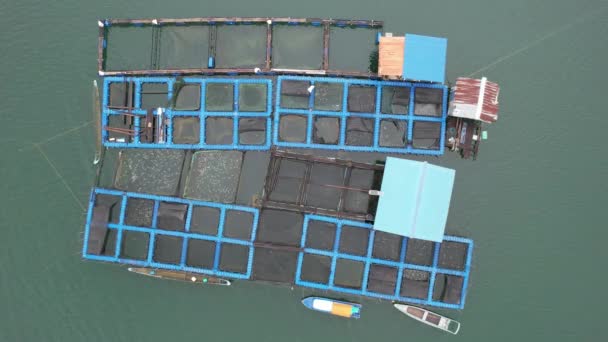 Aerial View Fish Farms Norway — Video