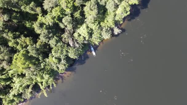 米尔福德声音和怀疑声音的山脉和峡湾 新西兰 沙捞越本戈谷地 — 图库视频影像