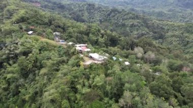 Milford Ses ve Kuşkulu Ses 'in Dağları ve Fiyortları, Yeni Zelanda. Bengoh Vadisi, Sarawak.