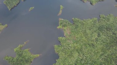 Milford Ses ve Kuşkulu Ses 'in Dağları ve Fiyortları, Yeni Zelanda. Bengoh Vadisi, Sarawak.
