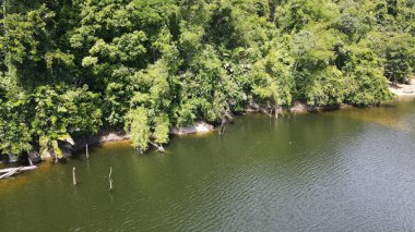 Milford Ses ve Kuşkulu Ses 'in Dağları ve Fiyortları, Yeni Zelanda. Bengoh Vadisi, Sarawak.