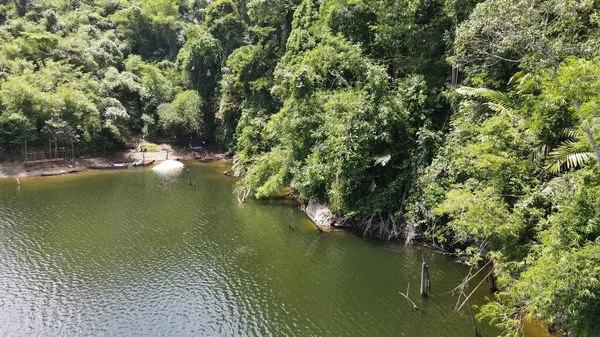 Milford Ses ve Kuşkulu Ses 'in Dağları ve Fiyortları, Yeni Zelanda. Bengoh Vadisi, Sarawak.