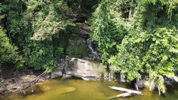 Milford Ses Kuşkulu Ses Dağları Fiyortları Yeni Zelanda Bengoh Vadisi — Stok video