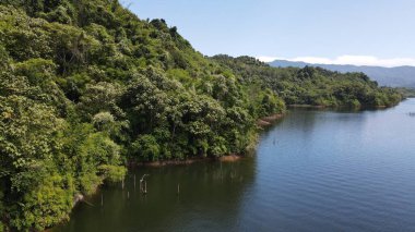 Milford Ses ve Kuşkulu Ses 'in Dağları ve Fiyortları, Yeni Zelanda. Bengoh Vadisi, Sarawak.