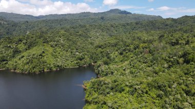 Milford Ses ve Kuşkulu Ses 'in Dağları ve Fiyortları, Yeni Zelanda. Bengoh Vadisi, Sarawak.