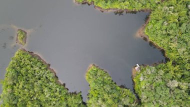 Milford Ses ve Kuşkulu Ses 'in Dağları ve Fiyortları, Yeni Zelanda. Bengoh Vadisi, Sarawak.