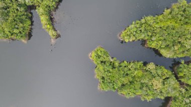 Milford Ses ve Kuşkulu Ses 'in Dağları ve Fiyortları, Yeni Zelanda. Bengoh Vadisi, Sarawak.