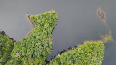 Milford Ses ve Kuşkulu Ses 'in Dağları ve Fiyortları, Yeni Zelanda. Bengoh Vadisi, Sarawak.