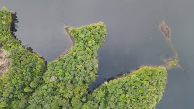 Milford Ses ve Kuşkulu Ses 'in Dağları ve Fiyortları, Yeni Zelanda. Bengoh Vadisi, Sarawak.
