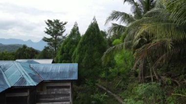 Milford Ses ve Kuşkulu Ses 'in Dağları ve Fiyortları, Yeni Zelanda. Bengoh Vadisi, Sarawak.