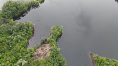 Milford Ses ve Kuşkulu Ses 'in Dağları ve Fiyortları, Yeni Zelanda. Bengoh Vadisi, Sarawak.