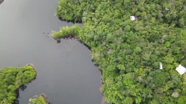 Milford Ses ve Kuşkulu Ses 'in Dağları ve Fiyortları, Yeni Zelanda. Bengoh Vadisi, Sarawak.