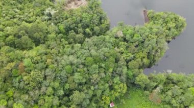 Milford Ses ve Kuşkulu Ses 'in Dağları ve Fiyortları, Yeni Zelanda. Bengoh Vadisi, Sarawak.