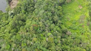 Milford Ses ve Kuşkulu Ses 'in Dağları ve Fiyortları, Yeni Zelanda. Bengoh Vadisi, Sarawak.