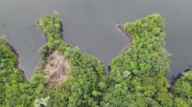 Milford Ses ve Kuşkulu Ses 'in Dağları ve Fiyortları, Yeni Zelanda. Bengoh Vadisi, Sarawak.