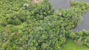 Milford Ses ve Kuşkulu Ses 'in Dağları ve Fiyortları, Yeni Zelanda. Bengoh Vadisi, Sarawak.
