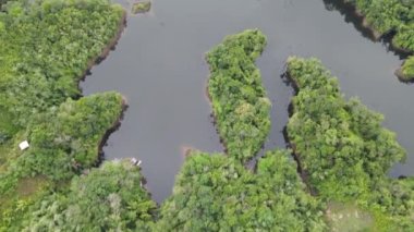 Milford Ses ve Kuşkulu Ses 'in Dağları ve Fiyortları, Yeni Zelanda. Bengoh Vadisi, Sarawak.