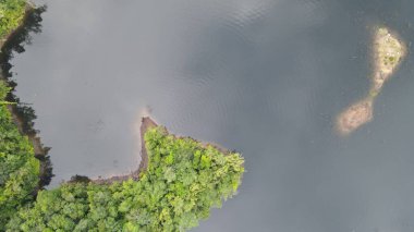 Milford Ses ve Kuşkulu Ses 'in Dağları ve Fiyortları, Yeni Zelanda. Bengoh Vadisi, Sarawak.