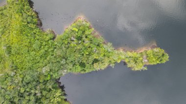 Milford Ses ve Kuşkulu Ses 'in Dağları ve Fiyortları, Yeni Zelanda. Bengoh Vadisi, Sarawak.