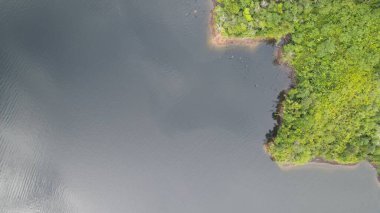 Milford Ses ve Kuşkulu Ses 'in Dağları ve Fiyortları, Yeni Zelanda. Bengoh Vadisi, Sarawak.