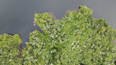 Milford Ses ve Kuşkulu Ses 'in Dağları ve Fiyortları, Yeni Zelanda. Bengoh Vadisi, Sarawak.