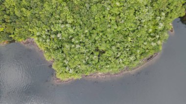 Milford Ses ve Kuşkulu Ses 'in Dağları ve Fiyortları, Yeni Zelanda. Bengoh Vadisi, Sarawak.
