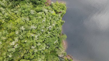 Milford Ses ve Kuşkulu Ses 'in Dağları ve Fiyortları, Yeni Zelanda. Bengoh Vadisi, Sarawak.