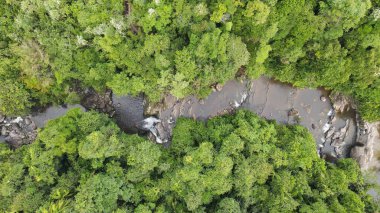 Milford Ses ve Kuşkulu Ses 'in Dağları ve Fiyortları, Yeni Zelanda. Bengoh Vadisi, Sarawak.