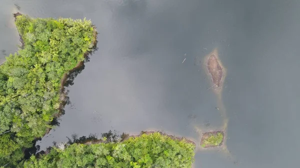 Milford Ses ve Kuşkulu Ses 'in Dağları ve Fiyortları, Yeni Zelanda. Bengoh Vadisi, Sarawak.