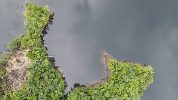 Milford Ses ve Kuşkulu Ses 'in Dağları ve Fiyortları, Yeni Zelanda. Bengoh Vadisi, Sarawak.