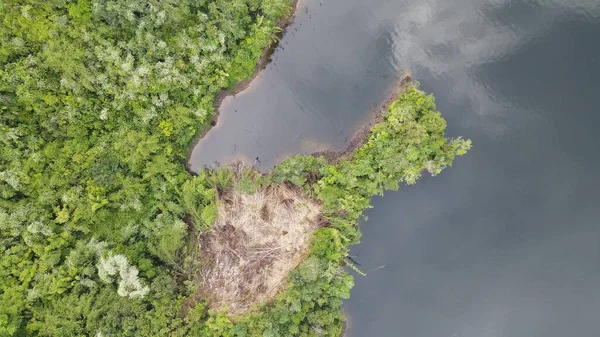 Milford Ses ve Kuşkulu Ses 'in Dağları ve Fiyortları, Yeni Zelanda. Bengoh Vadisi, Sarawak.