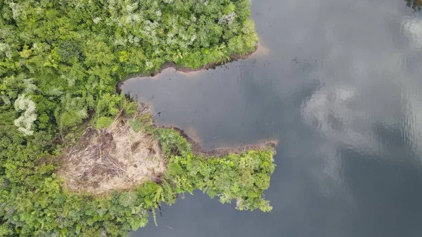 Milford Ses ve Kuşkulu Ses 'in Dağları ve Fiyortları, Yeni Zelanda. Bengoh Vadisi, Sarawak.