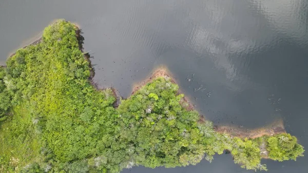 Milford Ses ve Kuşkulu Ses 'in Dağları ve Fiyortları, Yeni Zelanda. Bengoh Vadisi, Sarawak.