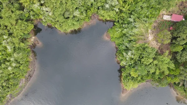 Milford Ses ve Kuşkulu Ses 'in Dağları ve Fiyortları, Yeni Zelanda. Bengoh Vadisi, Sarawak.