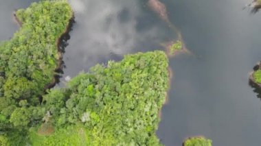 Milford Ses ve Kuşkulu Ses 'in Dağları ve Fiyortları, Yeni Zelanda. Bengoh Vadisi, Sarawak.