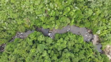 Milford Ses ve Kuşkulu Ses 'in Dağları ve Fiyortları, Yeni Zelanda. Bengoh Vadisi, Sarawak.
