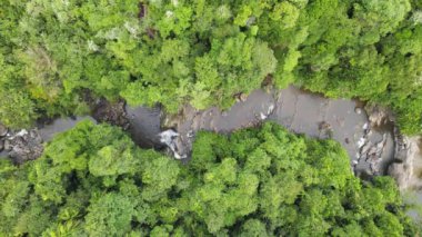 Milford Ses ve Kuşkulu Ses 'in Dağları ve Fiyortları, Yeni Zelanda. Bengoh Vadisi, Sarawak.